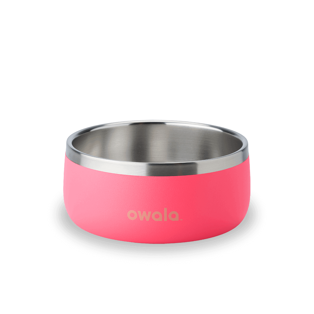 Pet Bowl 7CGB